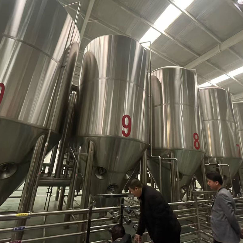 原阳精酿啤酒设备